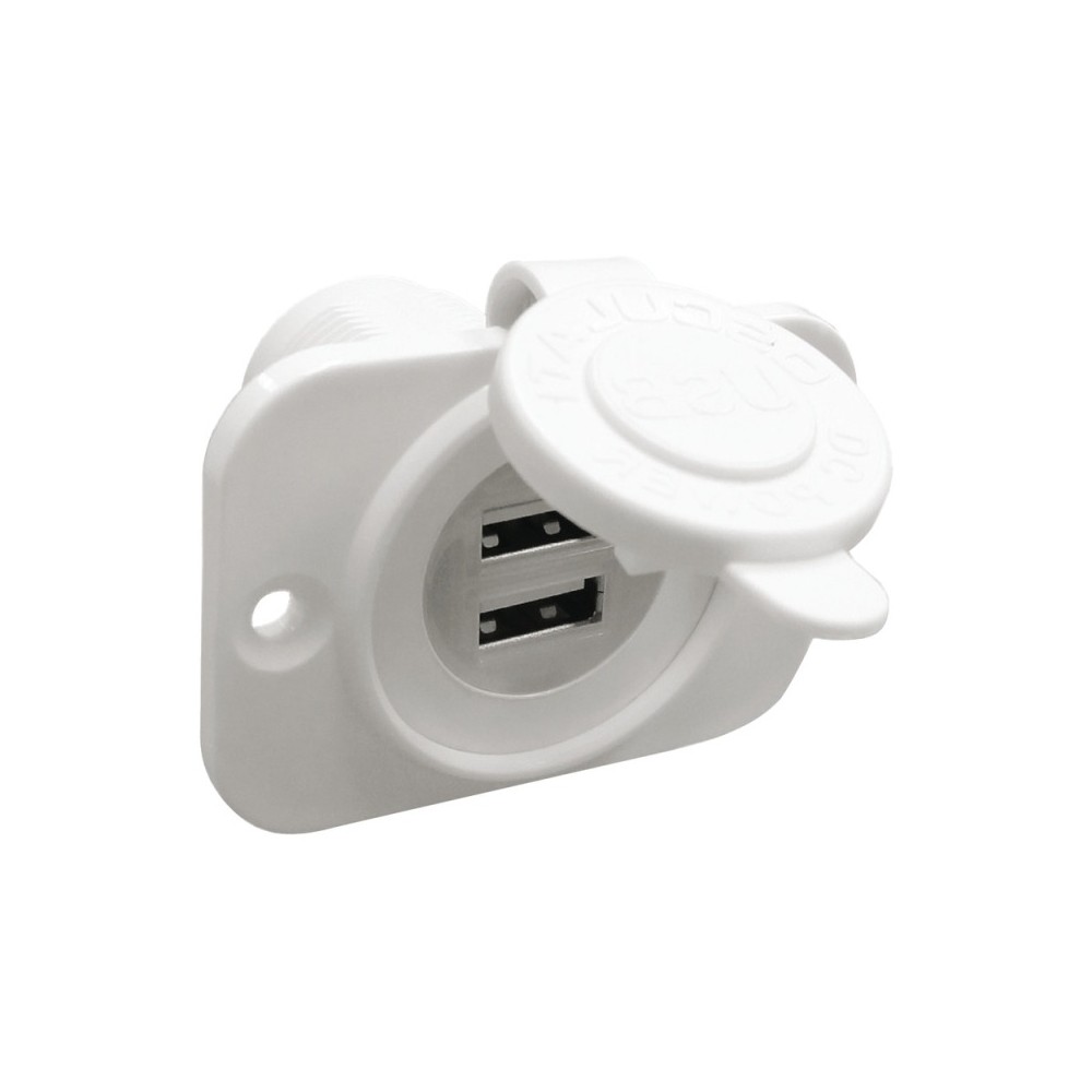 Double prise USB blanche écrou arrière + panneau