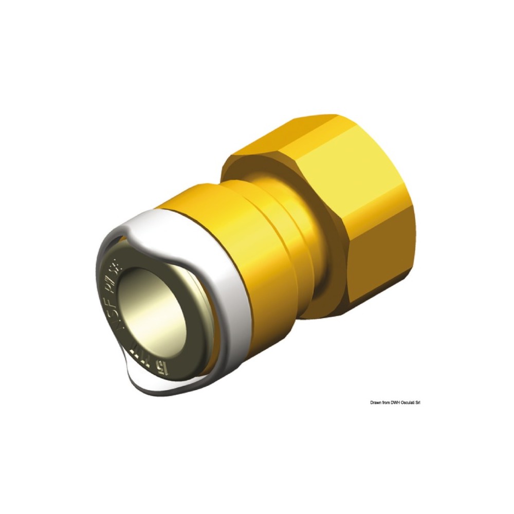Adaptateur 1/2" laiton Whale BSP