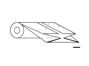 Termoretraibile PE bianco UV 0,20 x 600 L=50 m Polyéthylène