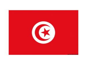 Pavillon Tunisie 20×30 cm