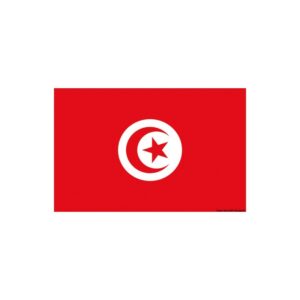 Pavillon Tunisie 20×30 cm