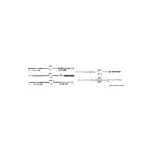 Timoneries
